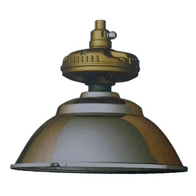 產品展示    1.本燈具為工廠用普通照明設備.      2.