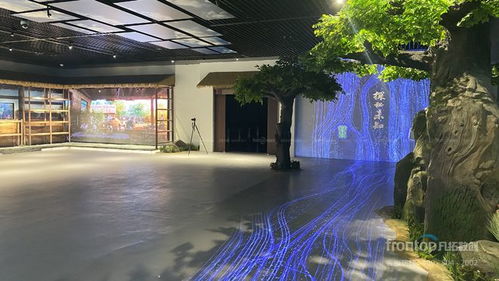 數(shù)字創(chuàng)意先鋒，國(guó)際榮耀加冕 凡拓?cái)?shù)創(chuàng)趙崇光榮獲idpa award top100國(guó)際影響力創(chuàng)新設(shè)計(jì)師大獎(jiǎng)